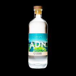 GIN ADN