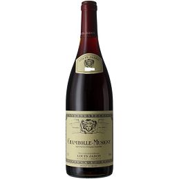 Chambolle Musigny Maison Jadot 2016