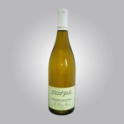 Macon Chaintré Domaine daniel Pollier